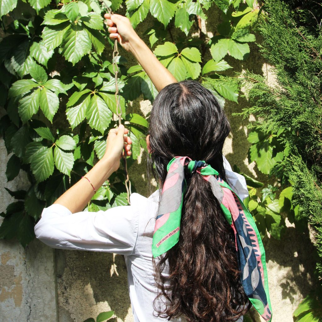 Mini Aralia Vert Green - Image 2